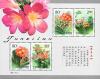 Clivia Souvenir Sheet - Clivia Flowers