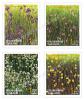 New Year 1995 Postage Stamps - Flowers