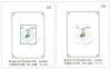 PACIFIC'97 World Philatelic Exhibition Overprinted on Waterfowls Souvenir Sheet
