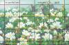 Amazing Thailand (Meadow of Kulap Khao) Postage Stamps