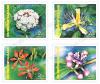 New Year 2001 Postage Stamps - Flowers
