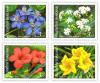 New Year 2003 Postage Stamps - Flowers