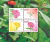 แผ่นชีทที่ระลึกปีใหม่ 2547 - ดอกไม้ พิมพ์ทับงานแสดงตราไปรษณียากรแห่งเอเชีย ครั้งที่ 17 ฮ่องกง 2547