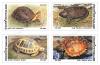 Turtle Postage Stamps