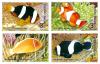 Anemonefish Postage Stamps