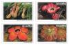 International Letter Writing Week 2006 Commemorative Stamps - Cornivorous Plants
