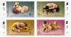 (1st Series) BANGKOK 2007 the 20th Asian International Stamp Exhibition Commemorative Stamps - Wooden Thai Dolls