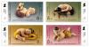 (1st Series) BANGKOK 2007 the 20th Asian International Stamp Exhibition Commemorative Stamps - Wooden Thai Dolls [Partly gold foil stamping]