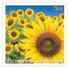 Sunflower Definitive Stamp