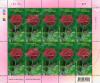 Rose Postage Stamp (Issue of 2010) Full Sheet