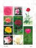 Rose Postage Stamp (Issue of 2010) Souvenir Sheet