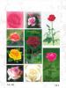 [Issued Date: 2010-02-05] Rose Postage Stamp (Issue of 2010) Souvenir Sheet