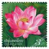 Lotus Flower Definitive Stamp [Pearlescence Ink]