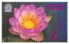 32nd Asian International Stamp Exhibition Commemorative Stamp