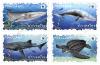 Preserved Wild Animal Postage Stamps - Marine Life (WWF)